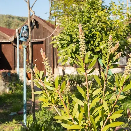 Homestay szállás Huzur Ve Cay Bahcesi *