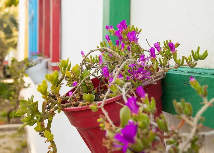 Huzur Ve Cay Bahcesi * Bursa