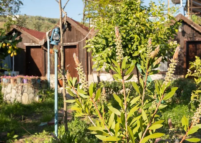 Homestay Huzur Ve Cay Bahcesi *