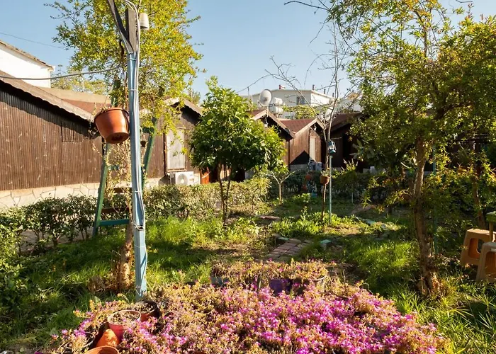 Homestay Huzur Ve Cay Bahcesi *