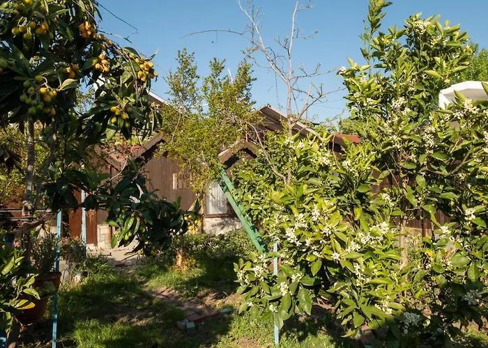 Huzur Ve Cay Bahcesi